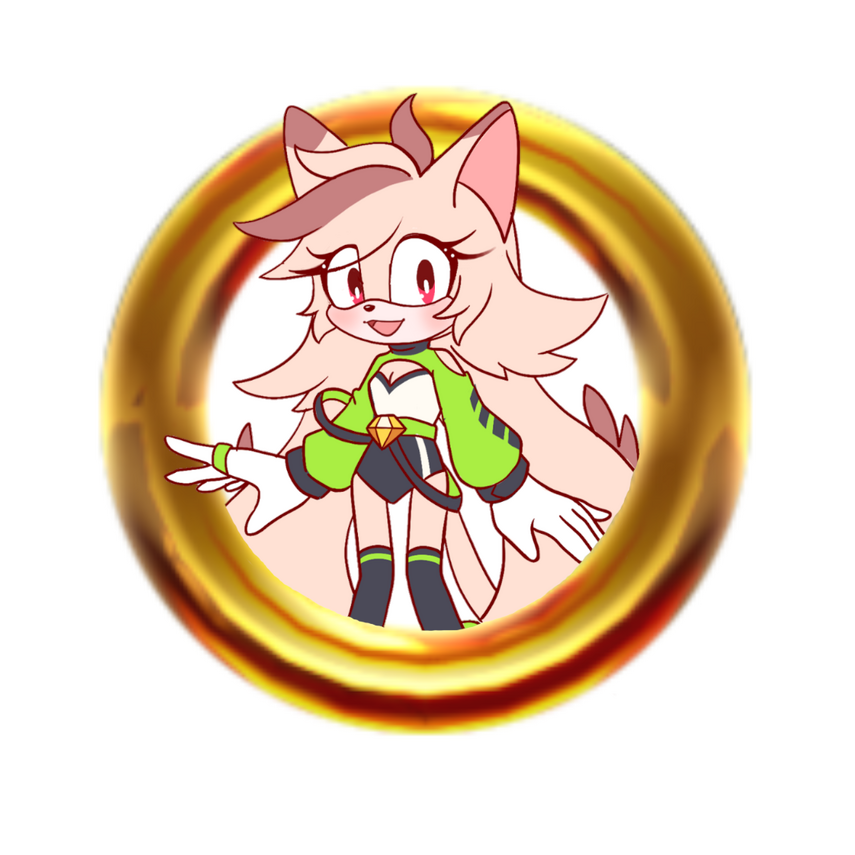 Rowdi The Siamese Cat